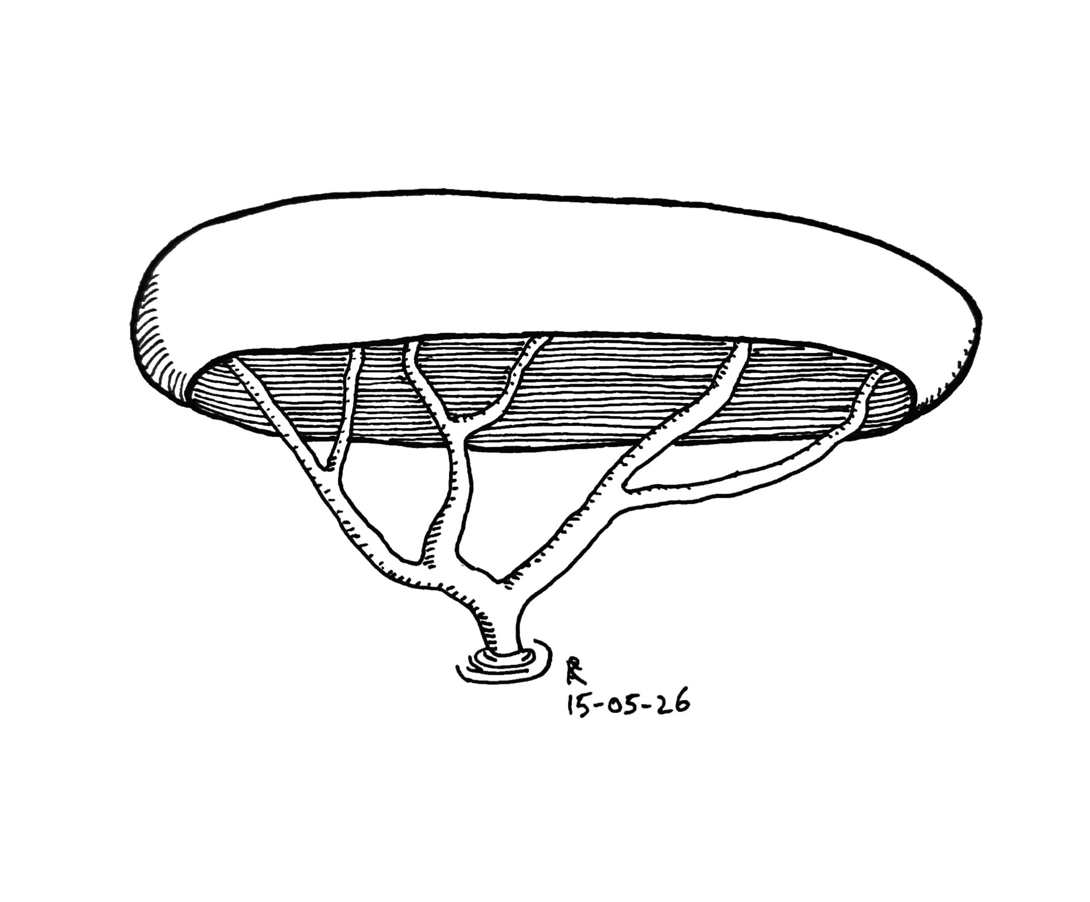 Blob tree, Pen