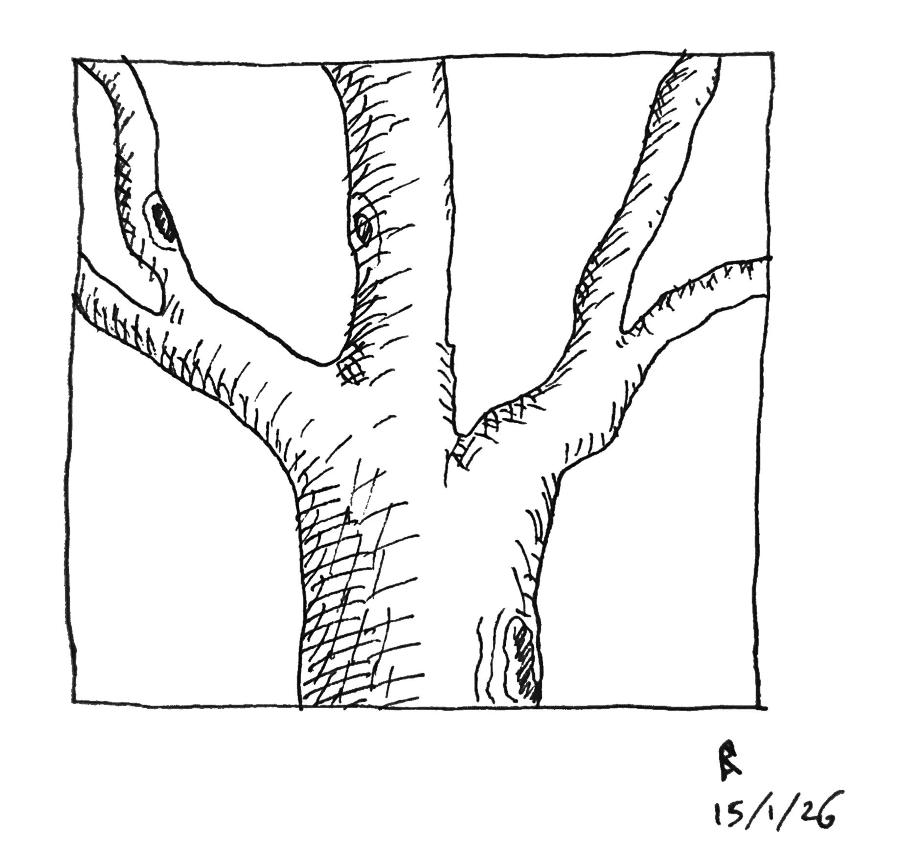 Tree sketch, Pen