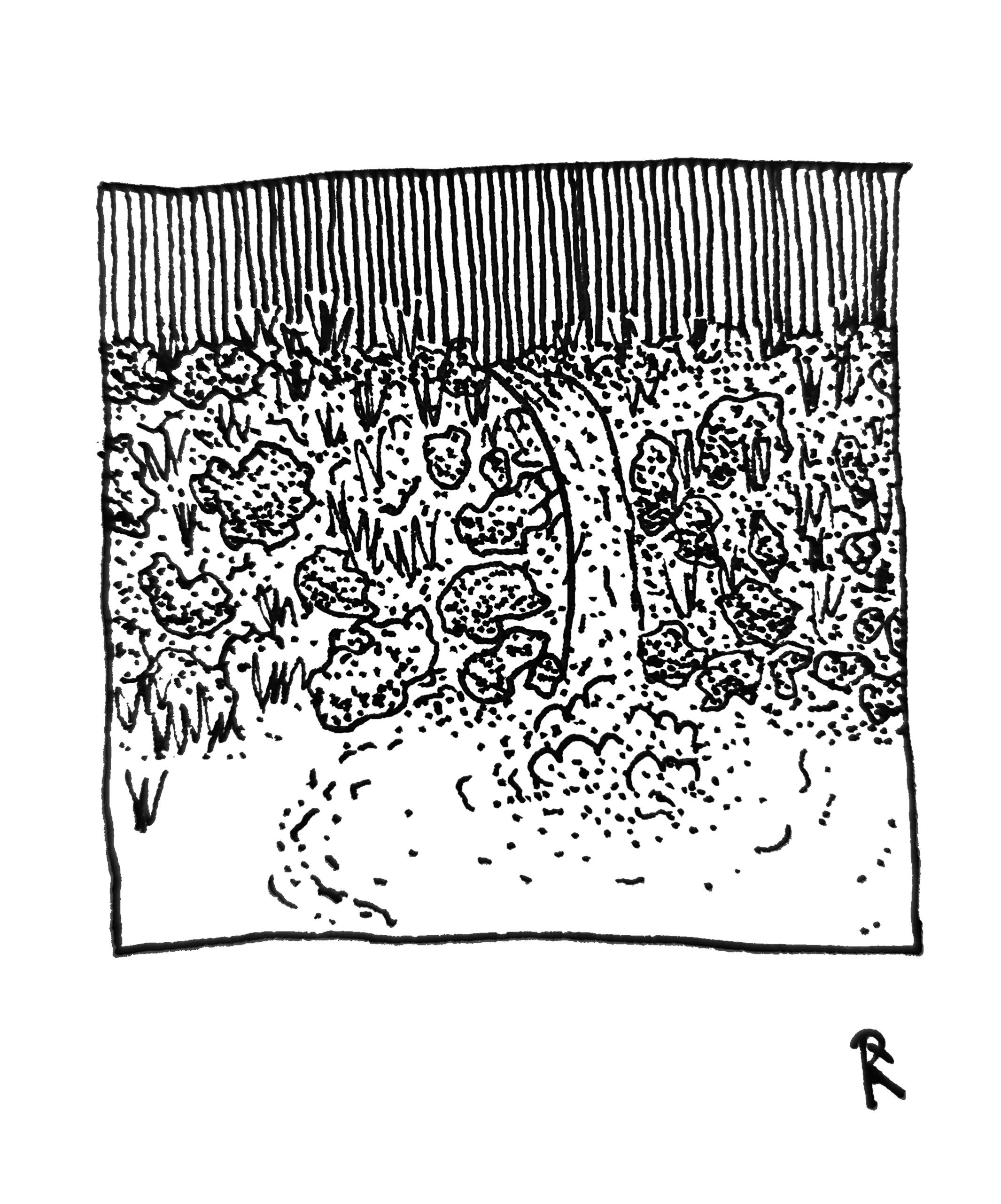 Waterfall sketch, Pen